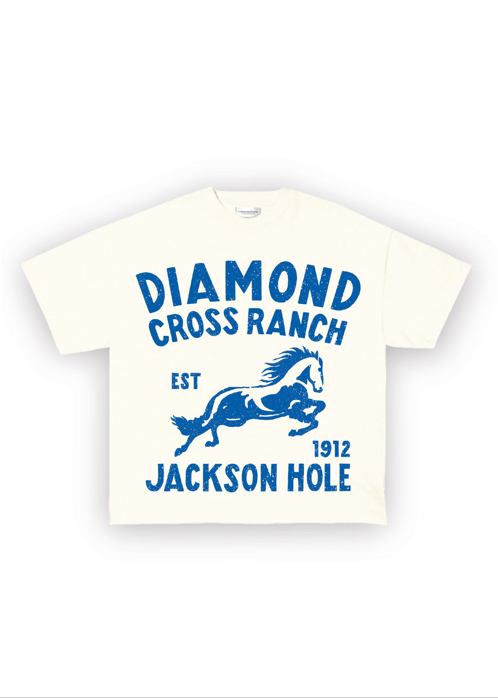 DCR Blue Horse