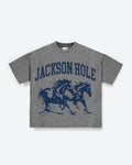Heather Grey Horse