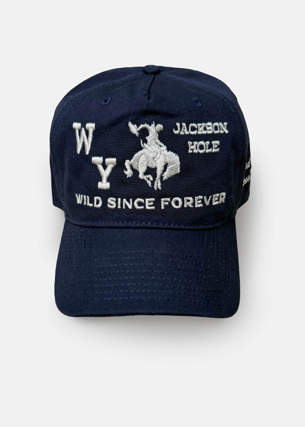Blue | Forever Wild Hat