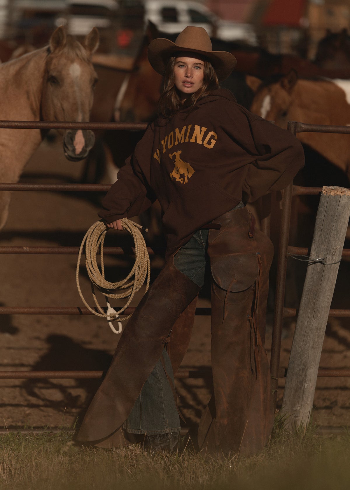 Wyoming Brown | The Classic Hoodie