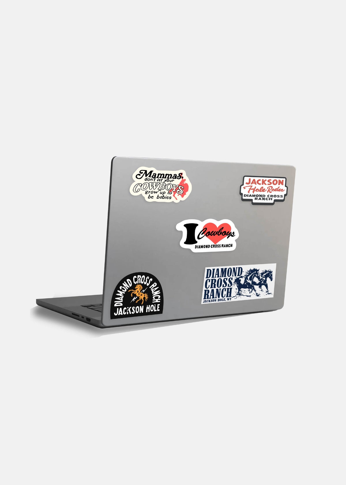 Rodeo Sticker