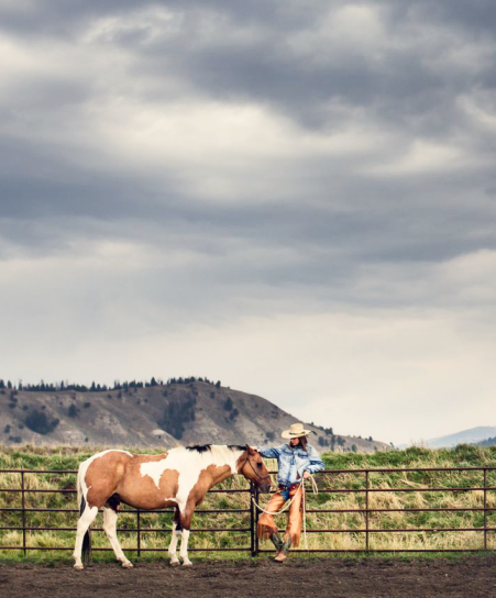 Quiet moment at the ranch fence