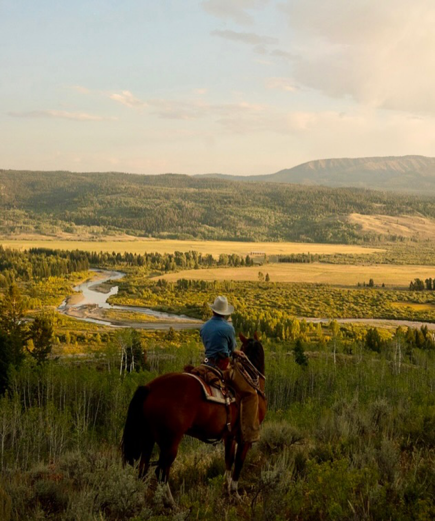 Rider looking over the ranch valley